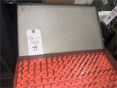 Assorted Pin Gages w / Case