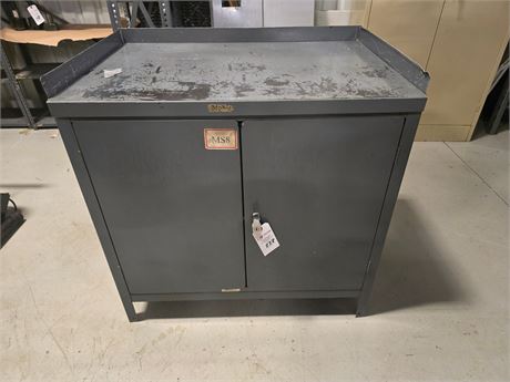 36" x 25" x 36" H Steel 2-Door Cabinet