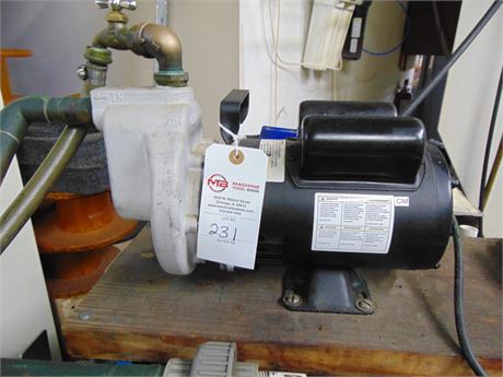 Transfer Pump