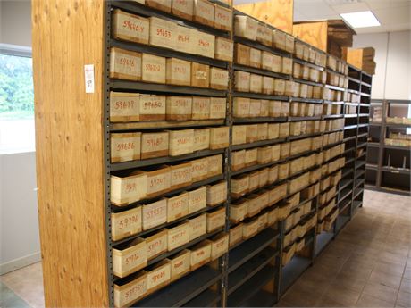 Row of Shelving with Contents