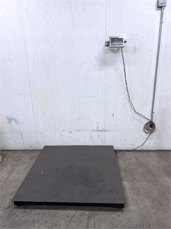 WEIGH-SOUTH WS-10 Floor Scale