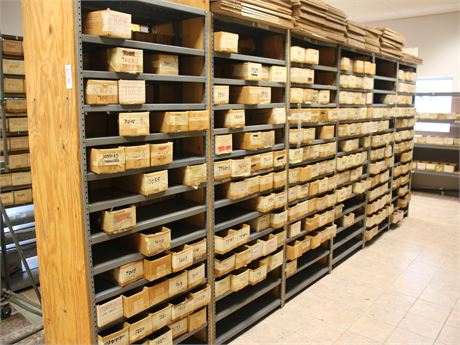 Row of Shelving with Contents