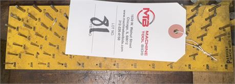 Assorted Pin Gages w / Case